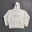 Logo hoodie — photo 10