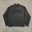 Crewneck sweatshirt — photo 1