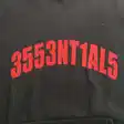 Logo hoodie — photo 23