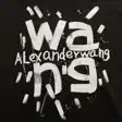 Graphic T-shirt — photo 9