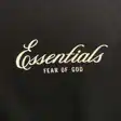 Script hooded sweatshirt — photo 22