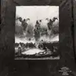 Graphic top — photo 1