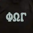 FOG graphic T-shirt — photo 11