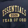 Logo hoodie — photo 3