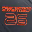 Graphic T-shirt — photo 9