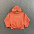 Junior logo hoodie — photo 10