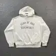 Logo hoodie — photo 4
