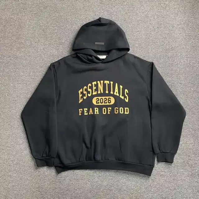 Logo hoodie · 221021316