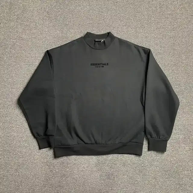 Crewneck sweatshirt · 173281689