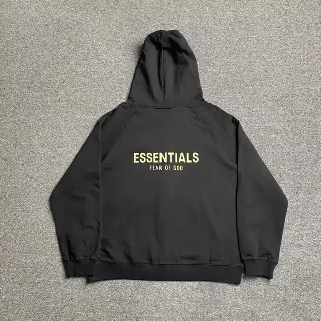 Logo hoodie · 172352009