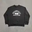 Crewneck sweatshirt — photo 17