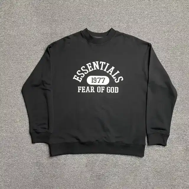 Crewneck sweatshirt · 171853428