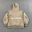 Logo hoodie — photo 10