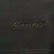Logo shorts — photo 39