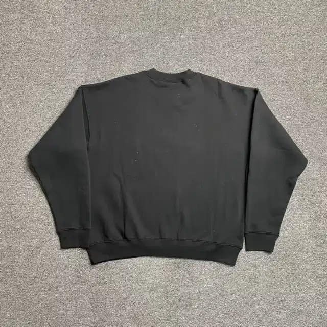 Crewneck sweatshirt · 171663623