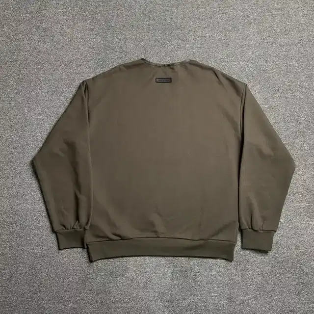 Crewneck sweatshirt · 169058779