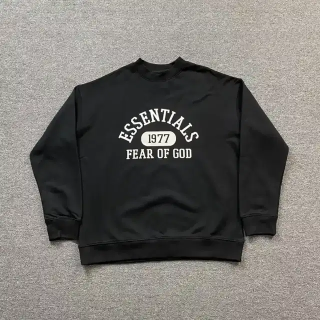 Crewneck sweatshirt · 172652749